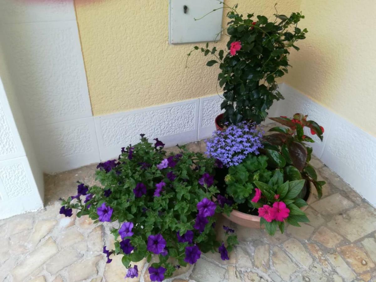 Apartment Lili Poreč Dış mekan fotoğraf